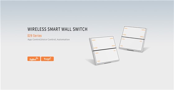 wireless smart wall switch D29 Series