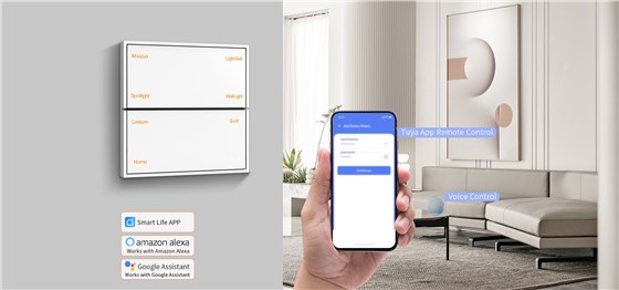 wireless smart wall switch D29 Series