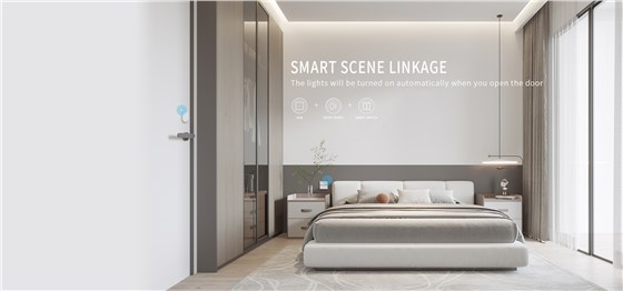 wireless smart wall switch D29 Series